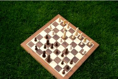 ### Взаимосвязь между шашками и когнитивными навыками